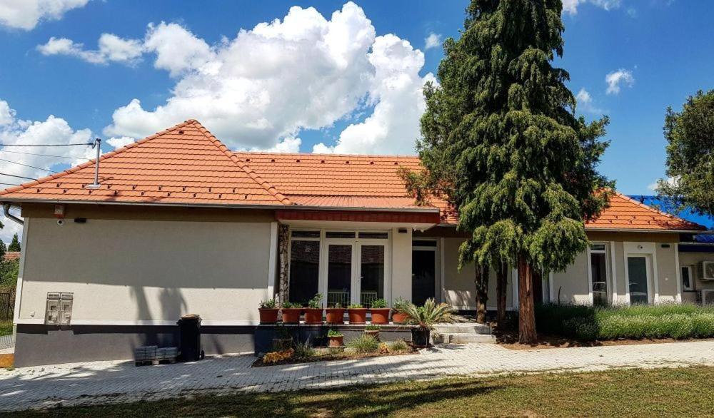 Dioliget Lägenhet Ohid Exteriör bild