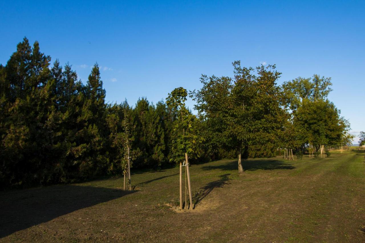 Dioliget Lägenhet Ohid Exteriör bild